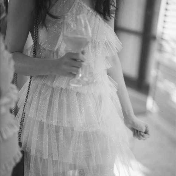 The Bar Kai Midi Party Dress - Sparkle Nude Size 2 - Picture 4 of 6